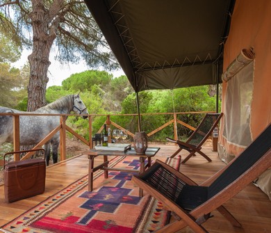 Hébergement Insolite-Glamping perchée